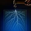 Lichtenberg Figure